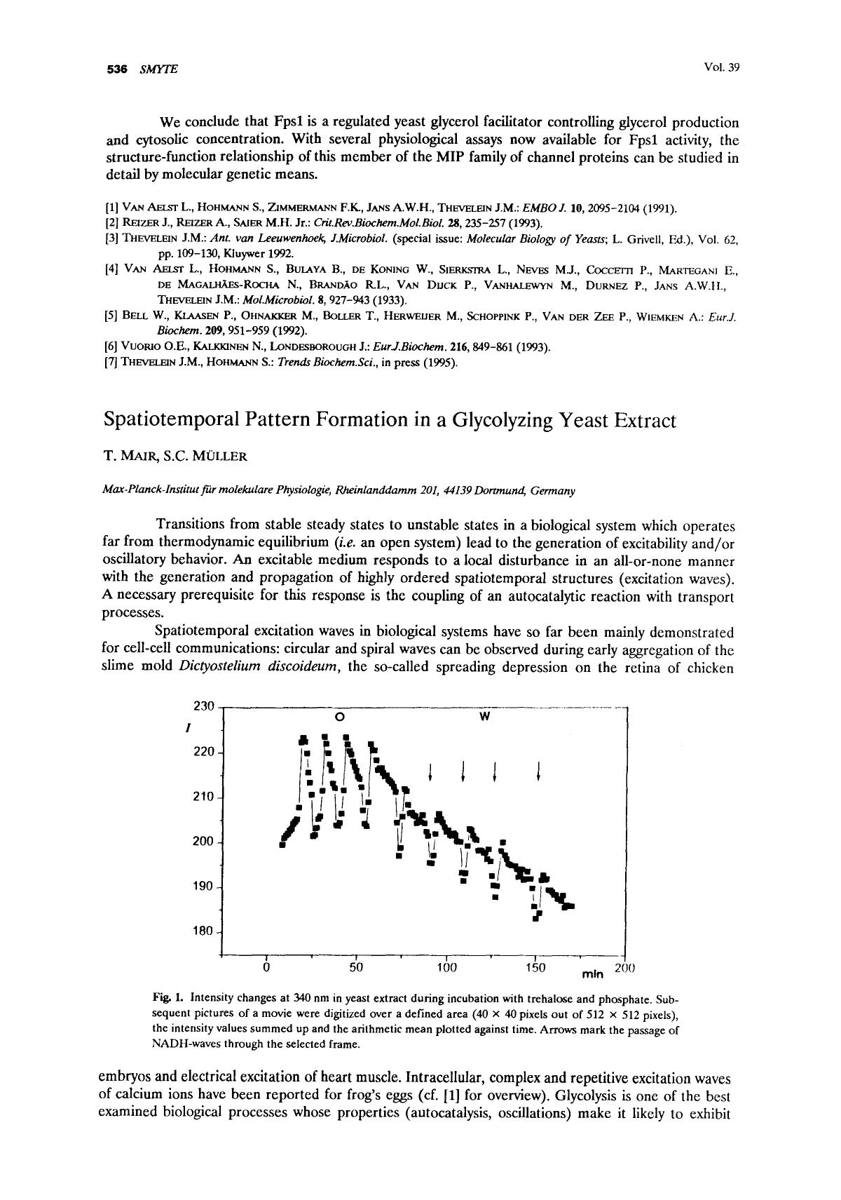 Spatiotemporal pattern formation in a glycolyzing yeast extract by Unknown