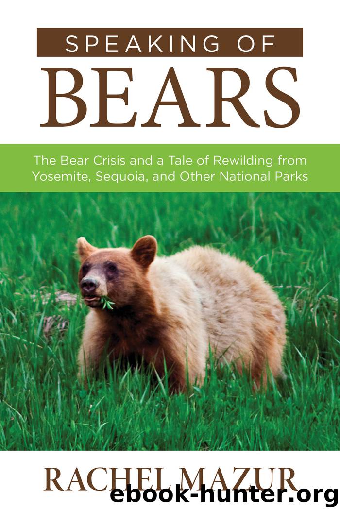 Speaking of Bears by Rachel Mazur