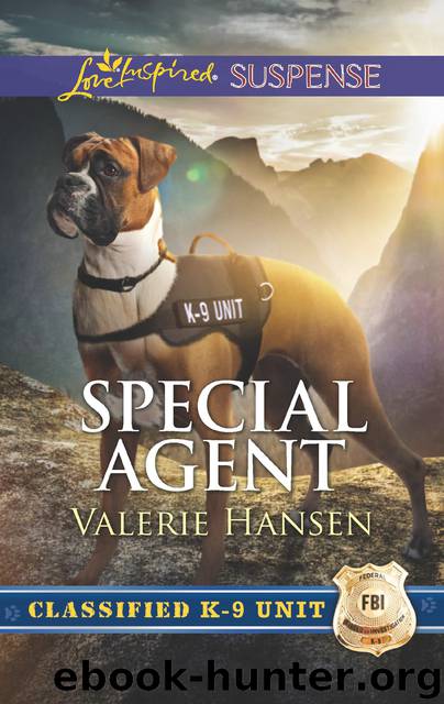 Special Agent by Valerie Hansen