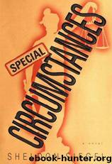 Special Circumstances by Sheldon Siegel