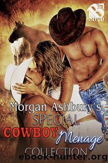 Special Cowboy Menage Collection by Morgan Ashbury