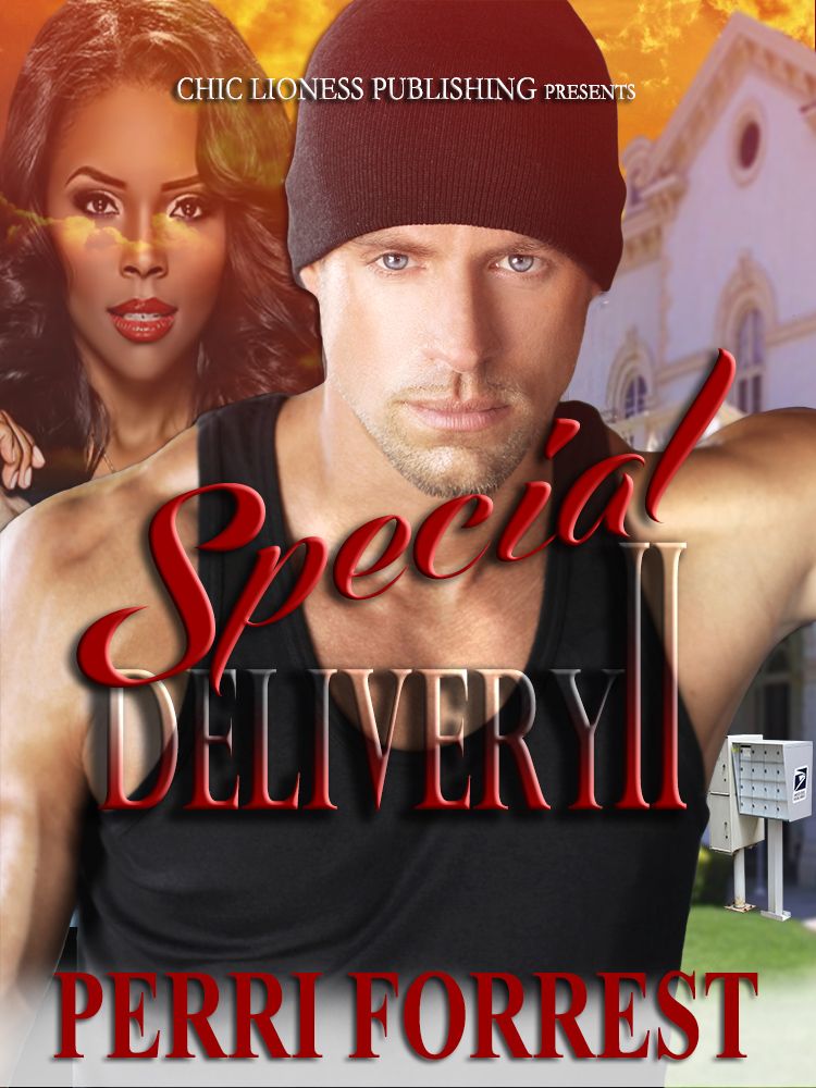 Special Delivery II (BWWM Fiction/Romance)