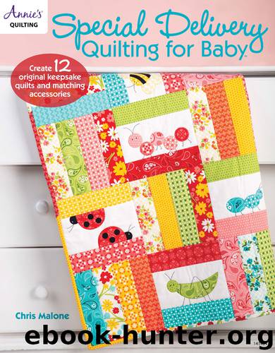 Special Delivery Quilting for Baby by Chris Malone