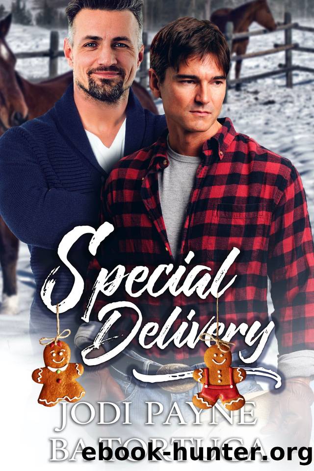 Special Delivery: A Wrecked Holiday Novel by Tortuga BA & Payne Jodi