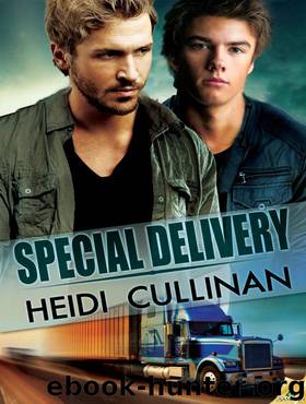 Special Delivery: Special Delivery, Book 1 by Heidi Cullinan