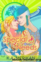 Special Needs by K. A. Merikan