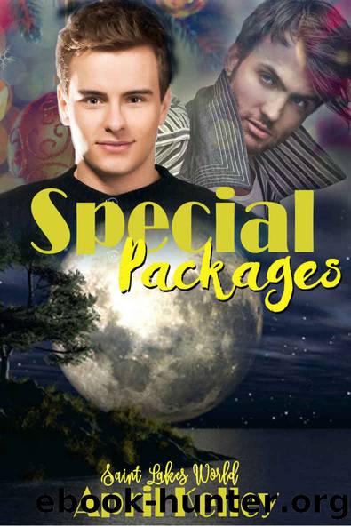 Special Packages: A Christmas Paranormal Vampire Shifter Romance (Saint Lakes Book 0) by April Kelley