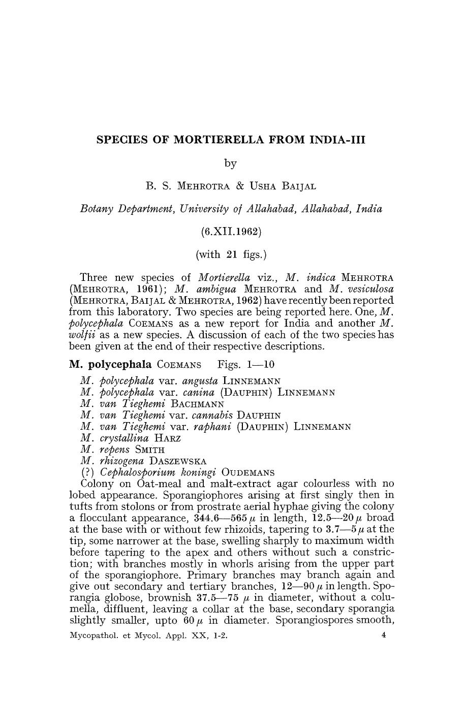 Species of mortierella from india-III by Unknown