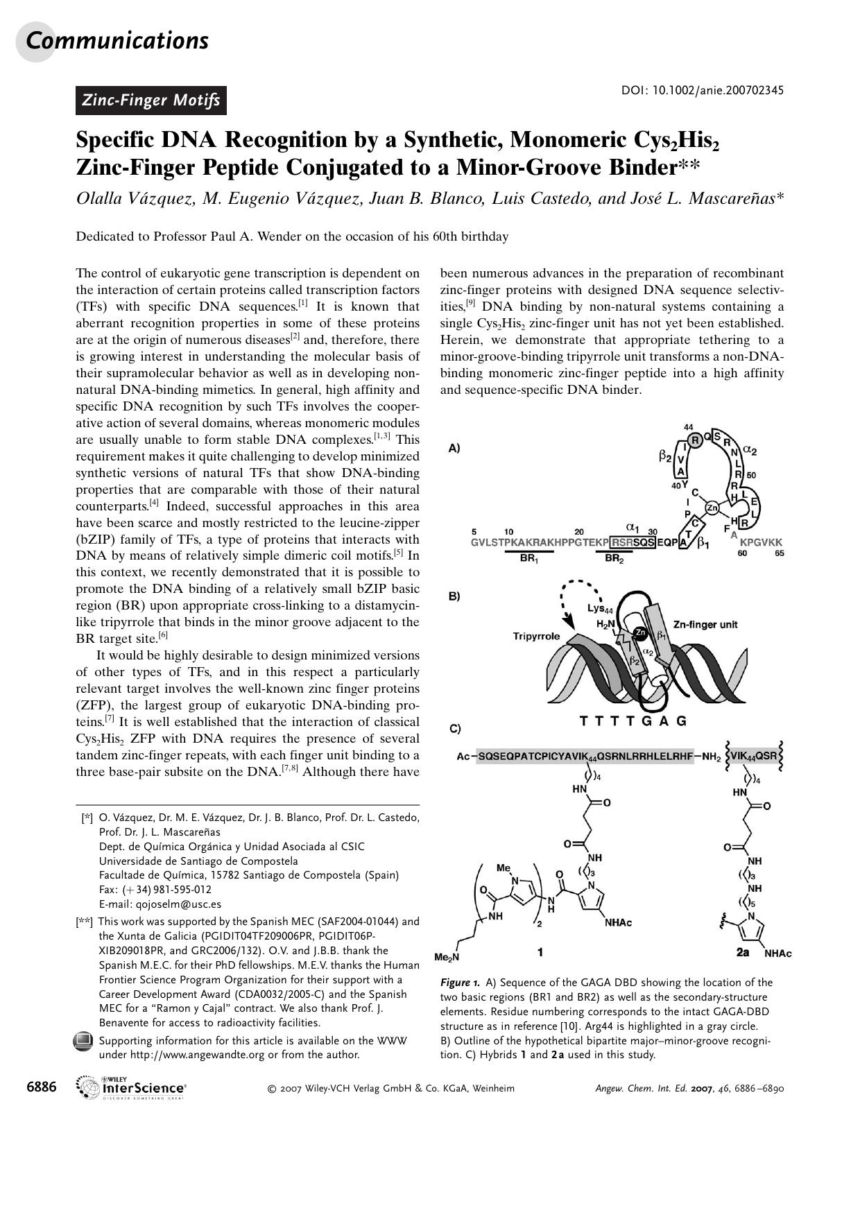 Specific DNA Recognition by a Synthetic, Monomeric Cys2His2 Zinc-Finger Peptide Conjugated to a Minor-Groove Binder by Unknown