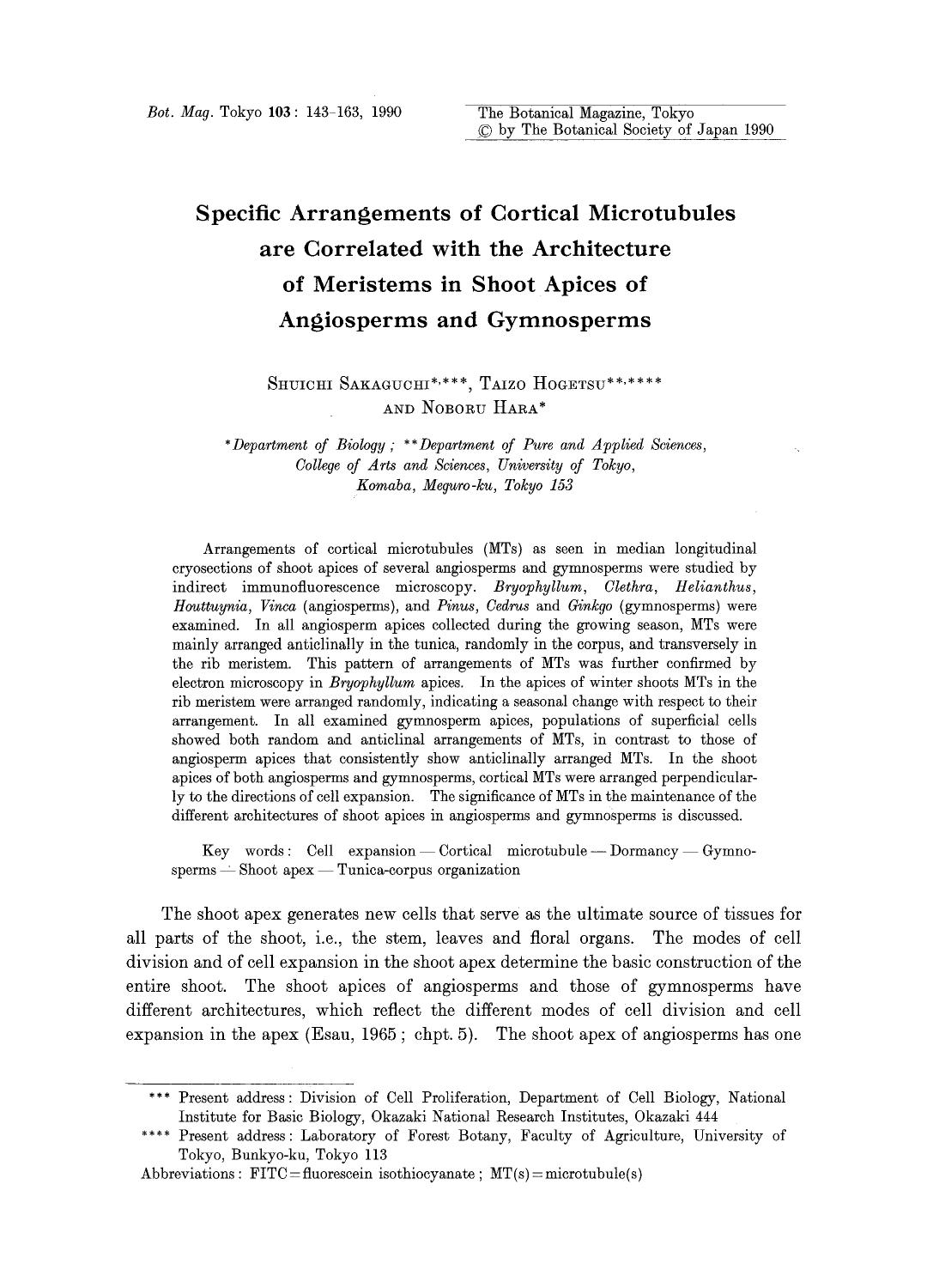 Specific arrangements of cortical microtubules are correlated with the architecture ofmeristems in shoot apices of angiosperms and gymnosperms by Unknown