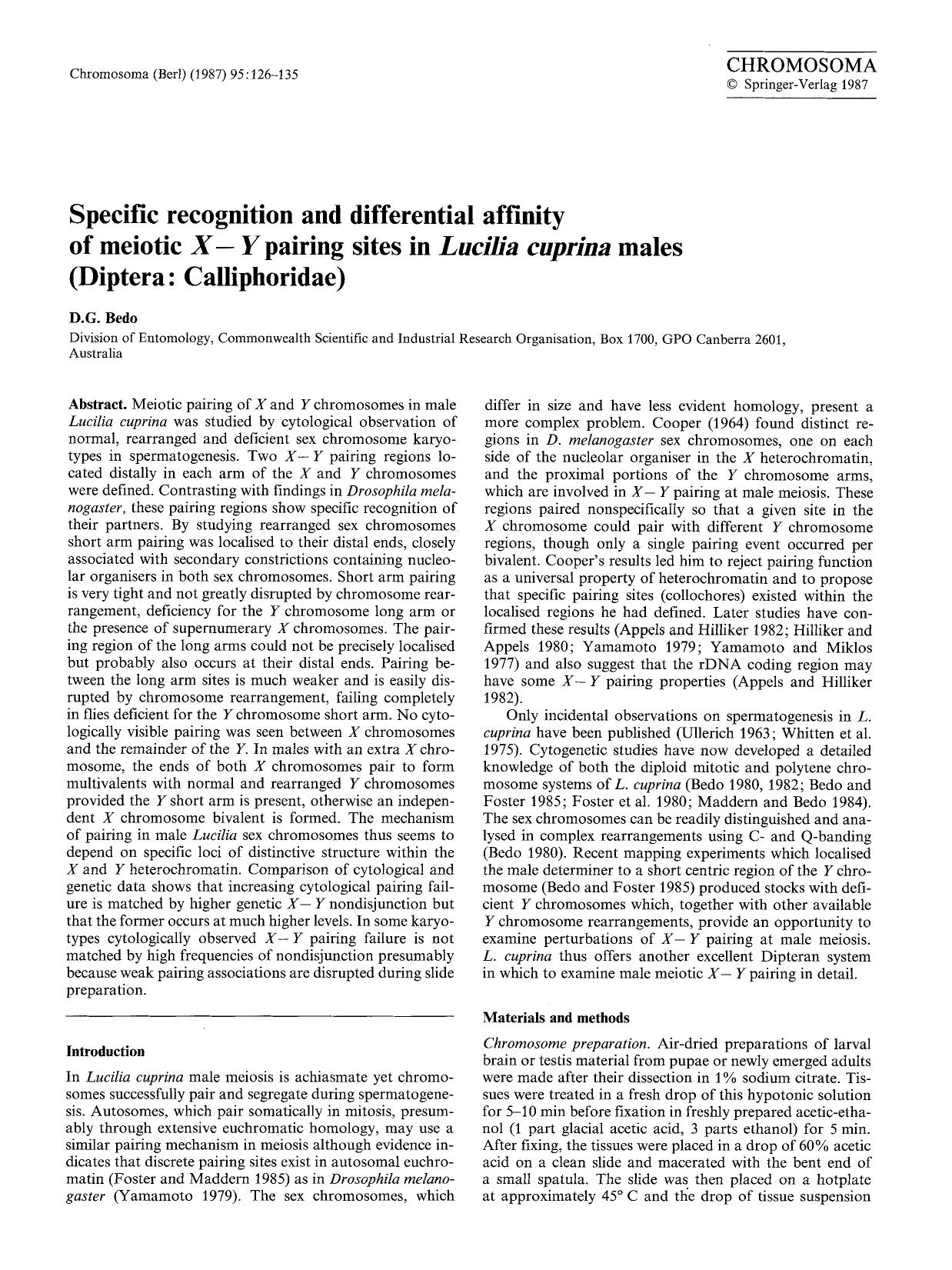 Specific recognition and differential affinity of meiotic <Emphasis Type="Italic">X-Y<Emphasis> pairing sites in <Emphasis Type="Italic">Lucilia cuprina<Emphasis> males (Diptera: Calliphoridae) by Unknown