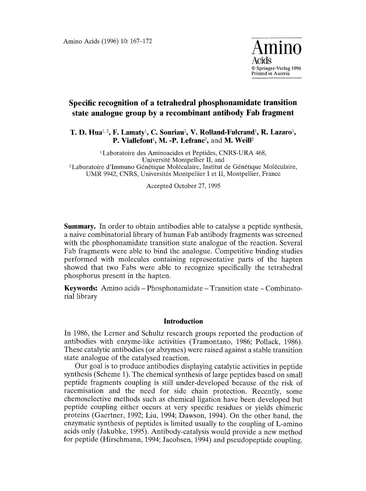 Specific recognition of a tetrahedral phosphonamidate transition state analogue group by a recombinant antibody Fab fragment by Unknown