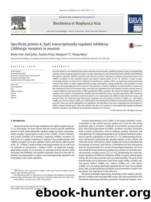 Specificity protein 4 (Sp4) transcriptionally regulates inhibitory GABAergic receptors in neurons by Bindu Nair & Kaid Johar & Anusha Priya & Margaret T.T. Wong-Riley