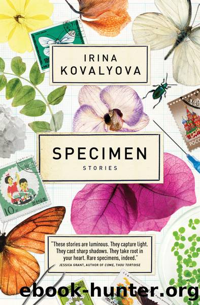 Specimen by Irina Kovalyova