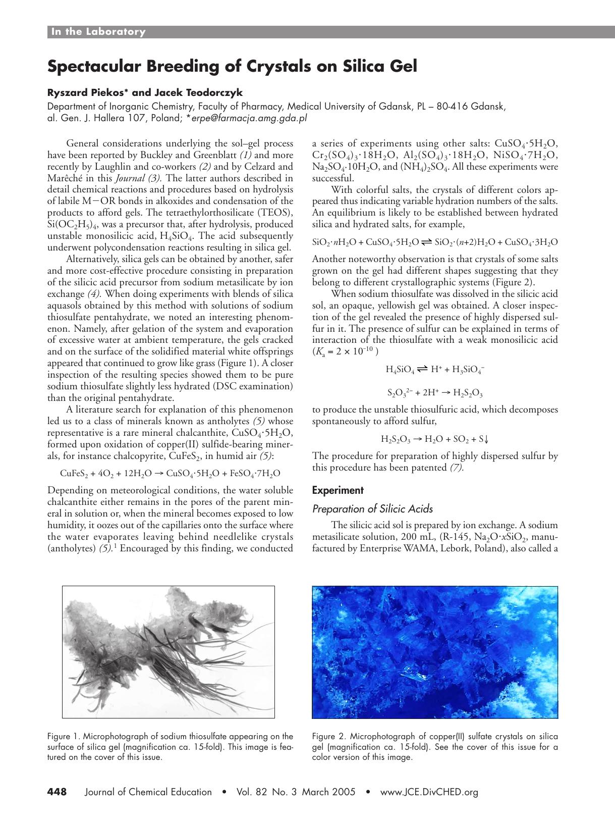Spectacular Breeding of Crystals on Silica Gel by Ryszard Piekos & Jacek Teodorczyk