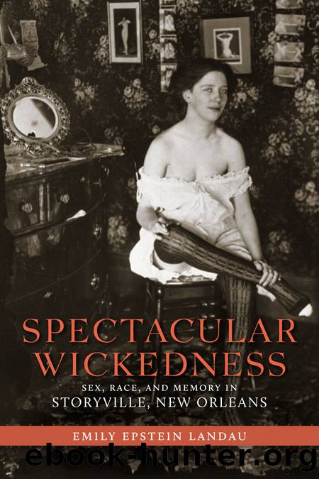 Spectacular Wickedness by Emily Epstein Landau
