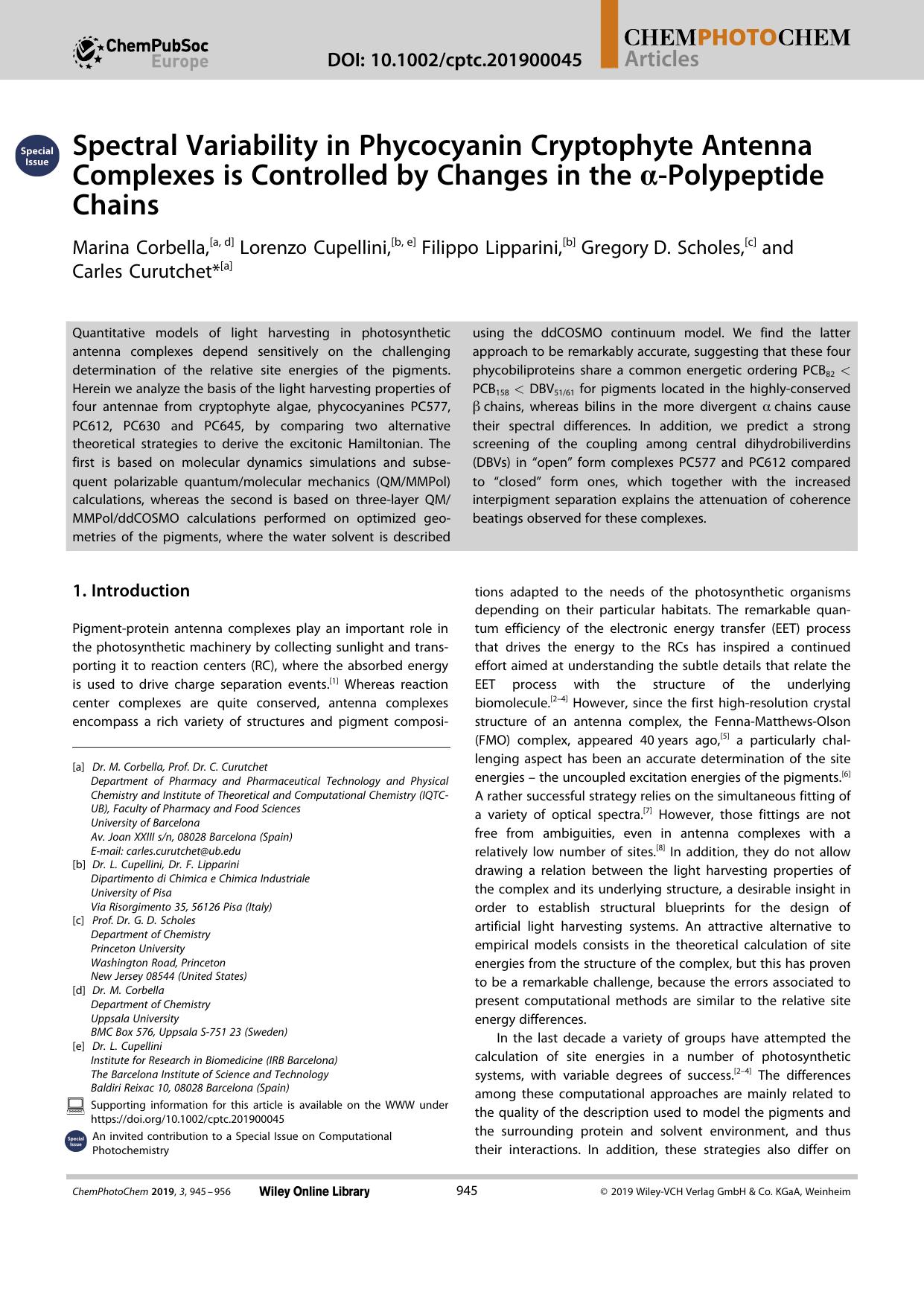 Spectral Variability in Phycocyanin Cryptophyte Antenna Complexes is Controlled by Changes in the Î±âPolypeptide Chains by Unknown
