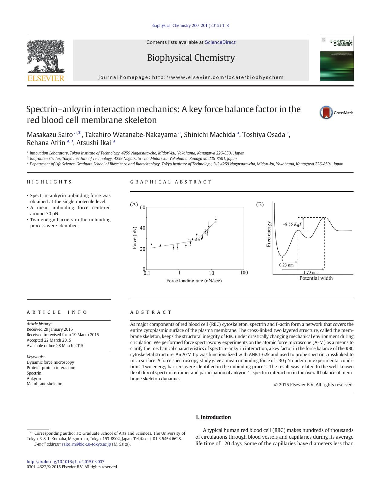 Spectrinâankyrin interaction mechanics: A key force balance factor in the red blood cell membrane skeleton by unknow