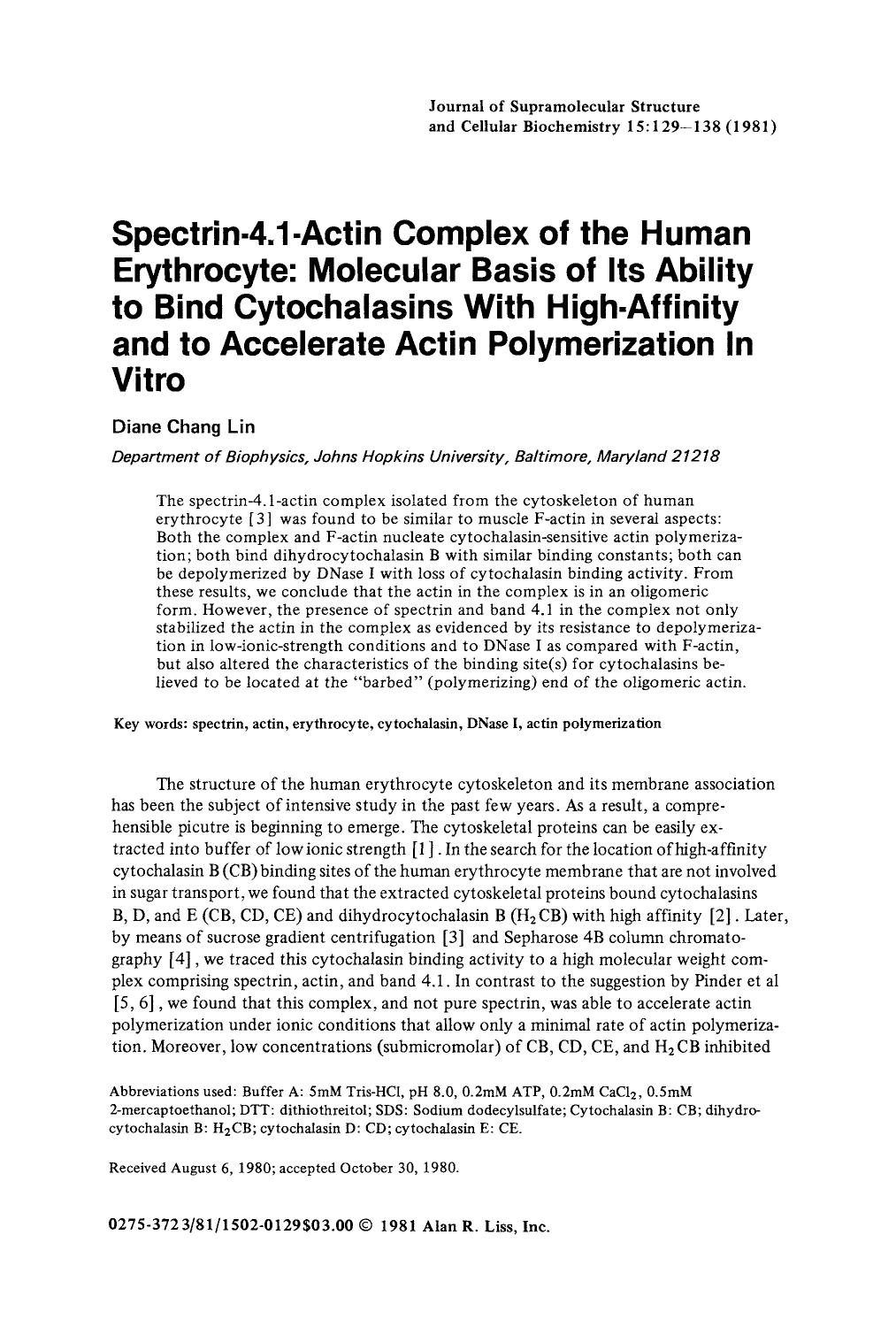 Spectrin-4.1-actin complex of the human erythrocyte: Molecular basis of its ability to bind cytochalasins with high-affinity and to accelerate actin polymerization in vitro by Unknown