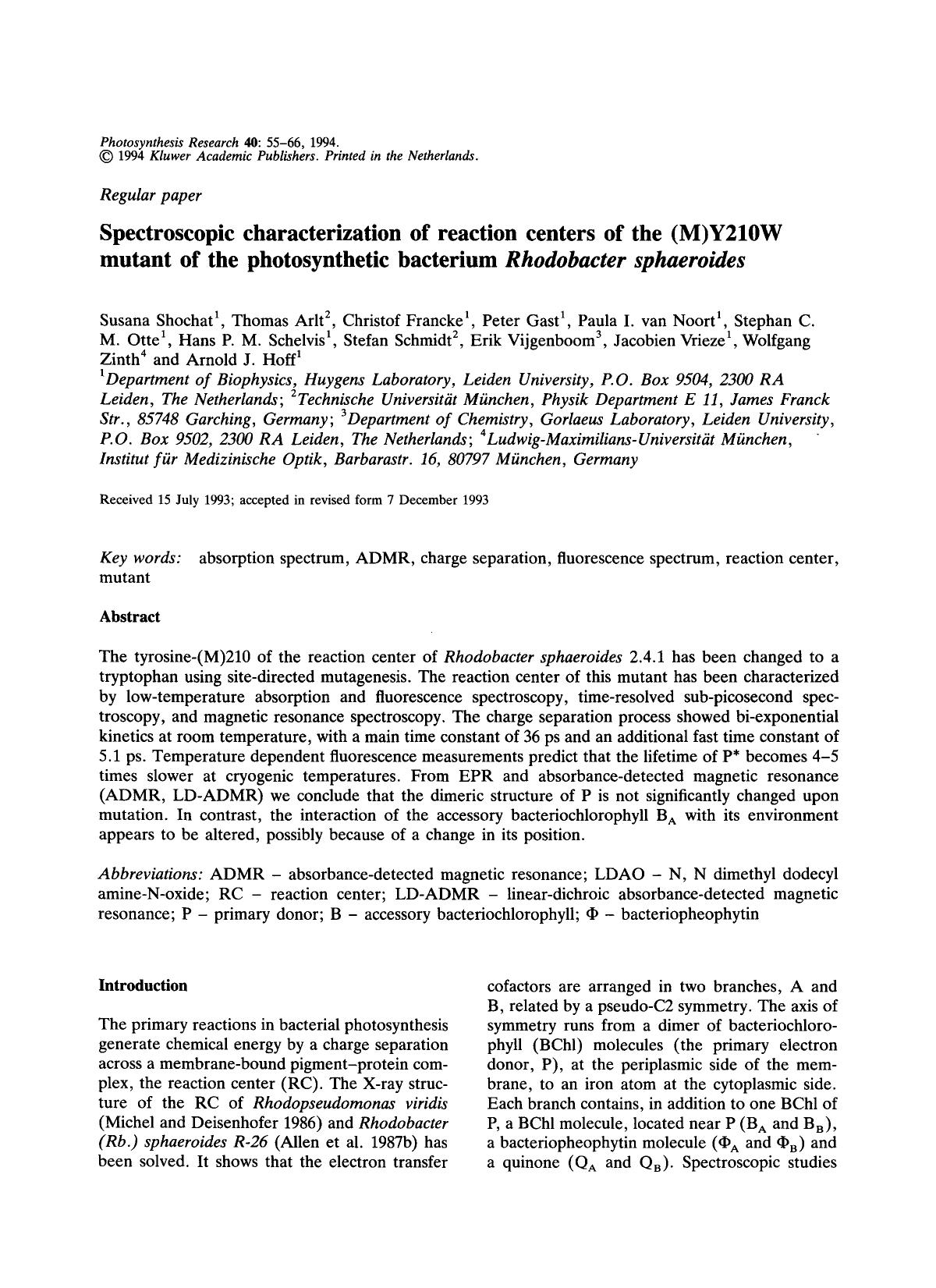 Spectroscopic characterization of reaction centers of the (M)Y210W mutant of the photosynthetic bacterium <Emphasis Type="Italic">Rhodobacter sphaeroides <Emphasis> by Unknown