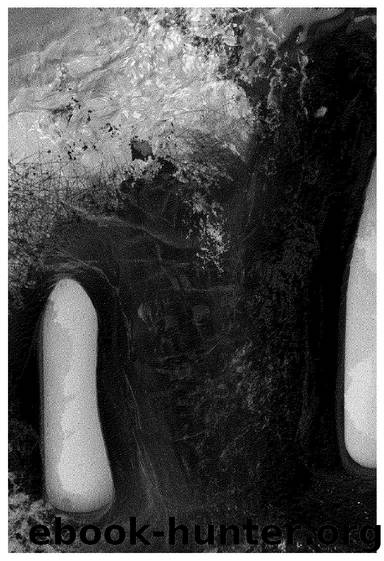 Speculative Ecologies: Plotting Through the Mesh by Vít Bohal Dustin Breitling