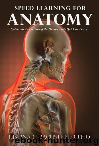 Speed Learning for Anatomy: Systems and Functions of the Human Body Quick and Easy by Justina C. Bachsteiner Ph.D