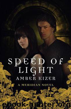 Speed of Light (Meridian) by Kizer Amber