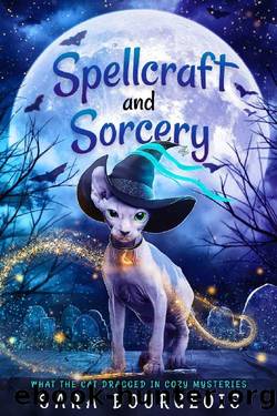 Spellcraft and Sorcery (What the Cat Dragged In Cozy Mysteries Book 3) by Sara Bourgeois