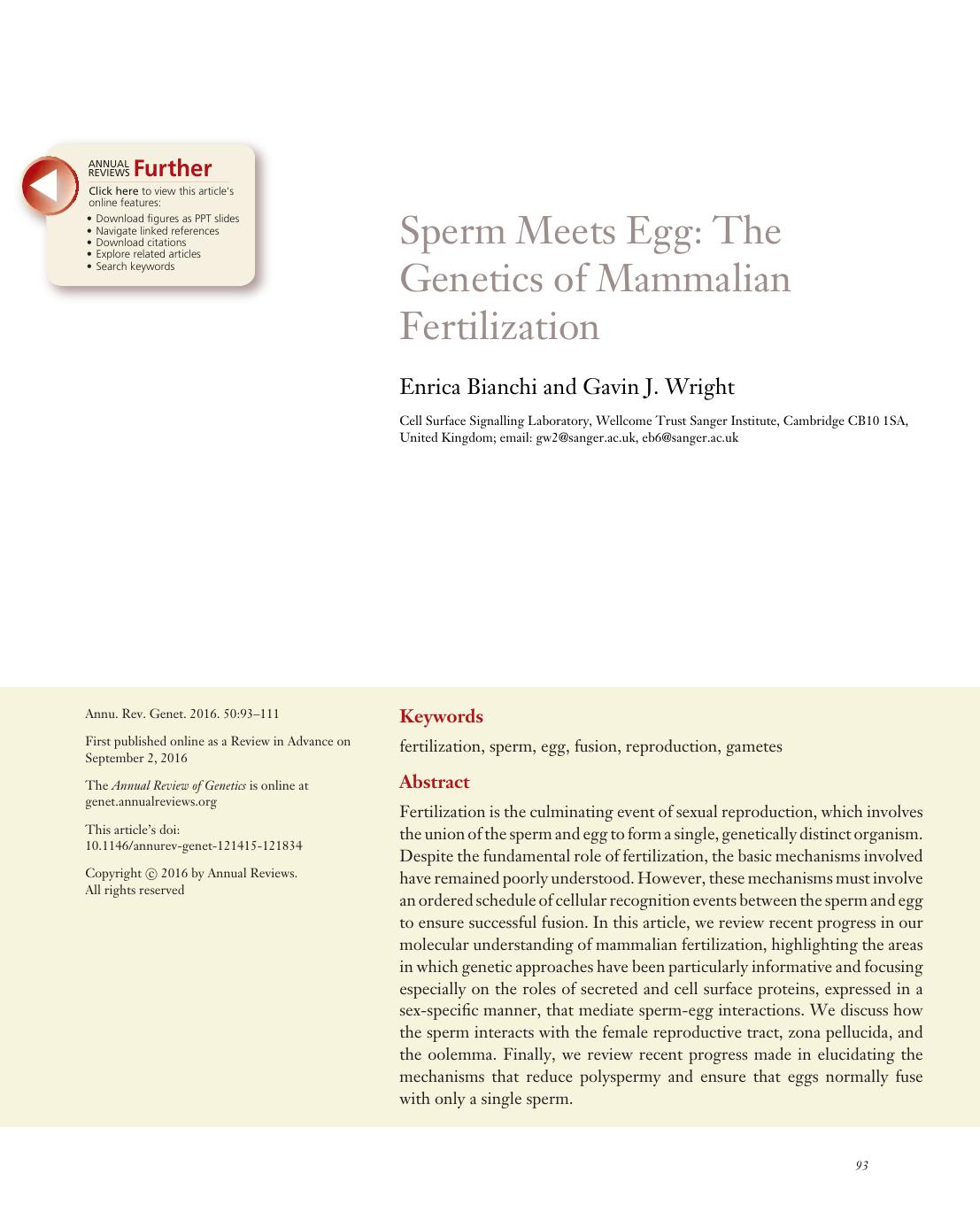 Sperm Meets Egg: The Genetics of Mammalian Fertilization by Enrica Bianchi and Gavin J. Wright