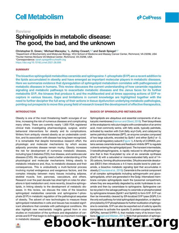 Sphingolipids in metabolic disease: The good, the bad, and the unknown by Christopher D. Green & Michael Maceyka & L. Ashley Cowart & Sarah Spiegel