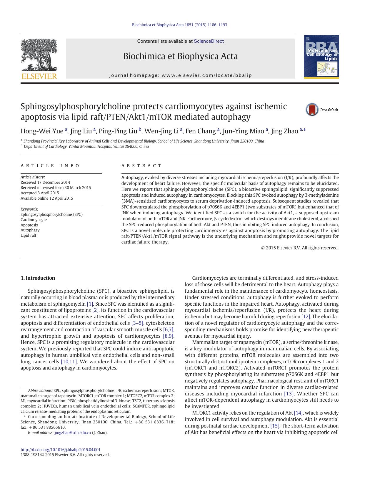 Sphingosylphosphorylcholine protects cardiomyocytes against ischemic apoptosis via lipid raftPTENAkt1mTOR mediated autophagy by Hong-Wei Yue & Jing Liu & Ping-Ping Liu & Wen-Jing Li & Fen Chang & Jun-Ying Miao & Jing Zhao