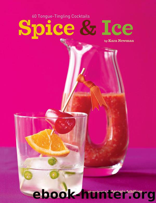 Spice & Ice by Kara Newman