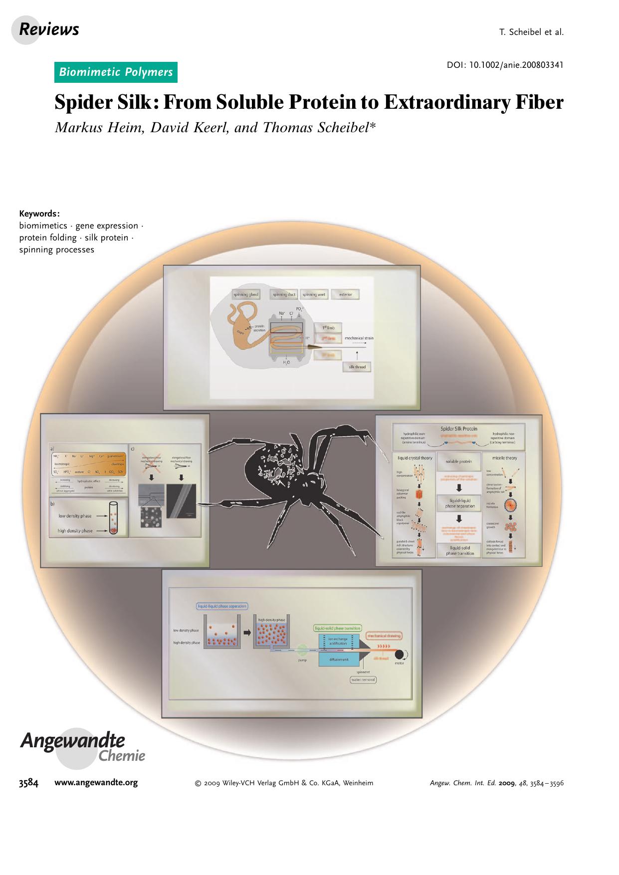 Spider Silk: From Soluble Protein to Extraordinary Fiber by Unknown