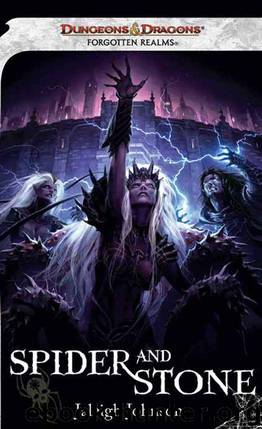 Spider and Stone by Johnson Jaleigh