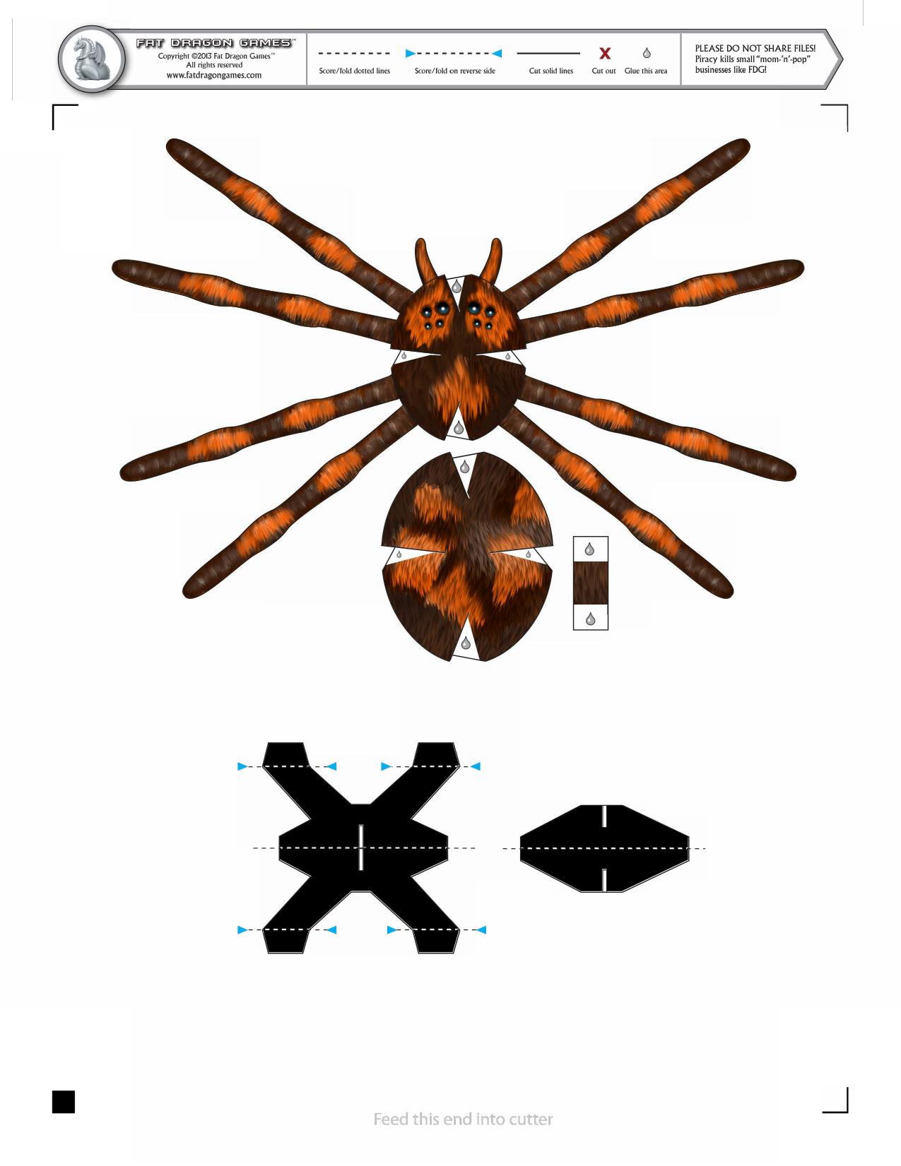 Spider by Unknown