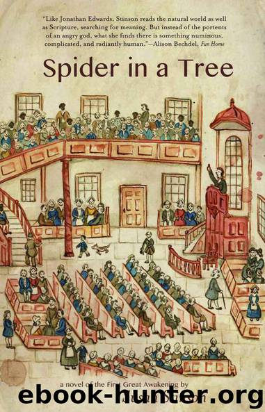 Spider in a Tree by Susan Stinson