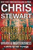 Spiders From the Shadows by Stewart Chris