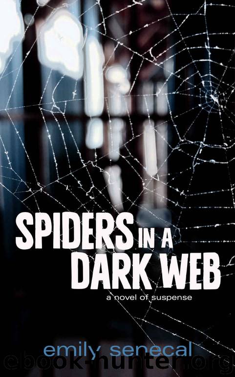 Spiders in a Dark Web by Emily Senecal