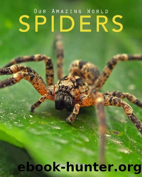 Spiders: Amazing Pictures & Fun Facts on Animals in Nature (Our Amazing World Series Book 7) by Kay de Silva