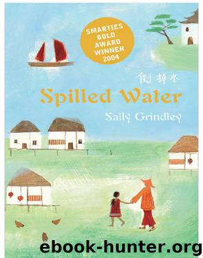 Spilled Water by Sally Grindley