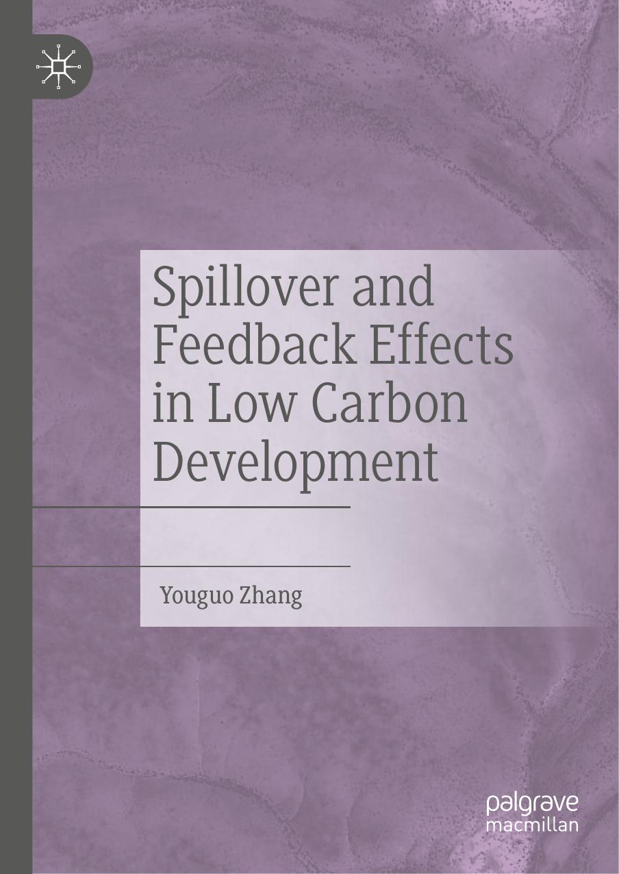 Spillover and Feedback Effects in Low Carbon Development by Youguo Zhang