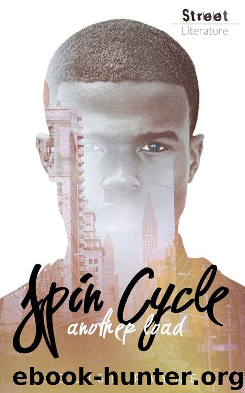 Spin Cycle: Another Load by Louise Payne