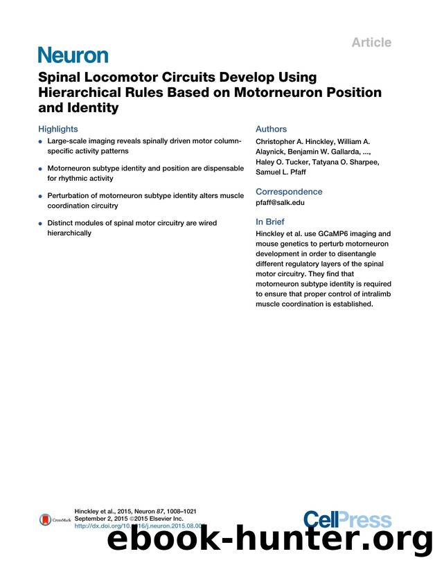 Spinal Locomotor Circuits Develop Using Hierarchical Rules Based on Motorneuron Position and Identity by unknow
