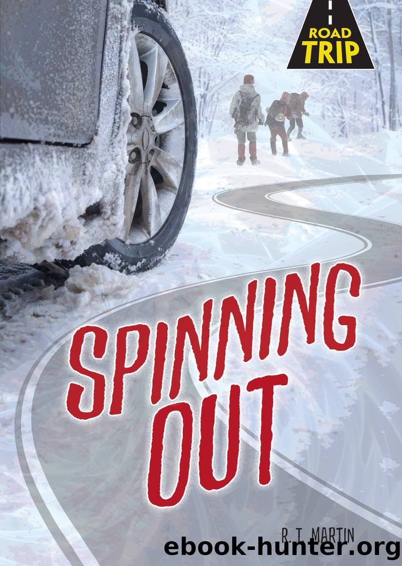 Spinning Out by R. T. Martin