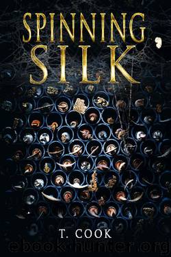 Spinning Silk by T. Cook