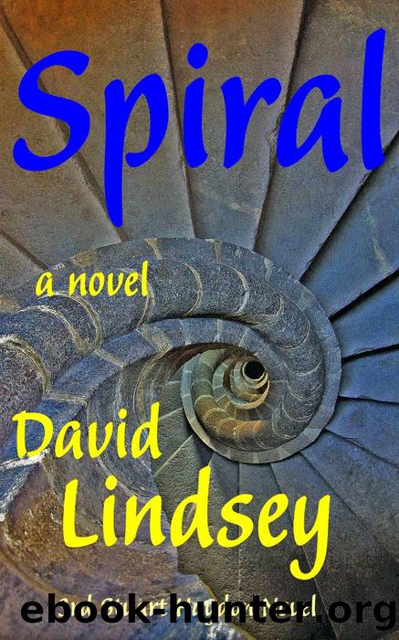 Spiral by David Lindsey