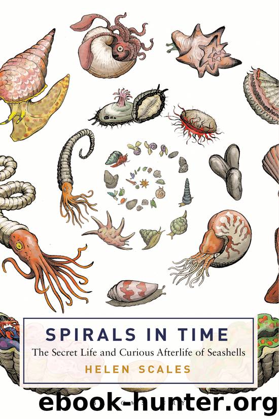 Spirals in Time by Helen Scales