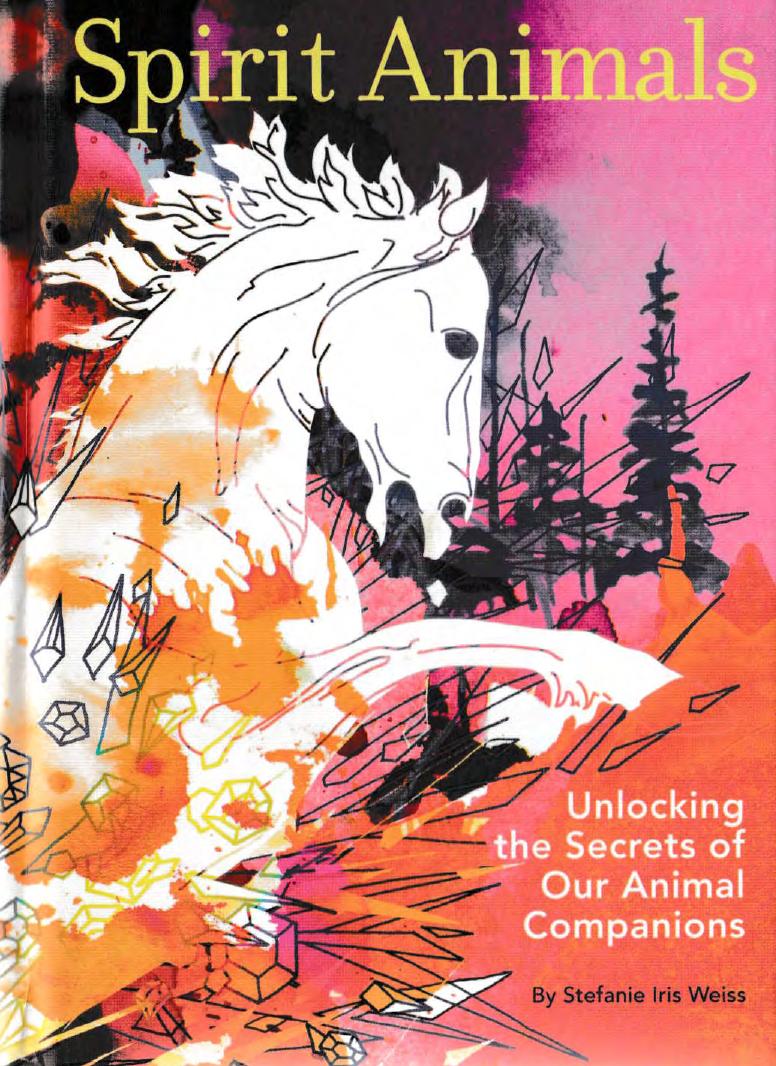 Spirit Animals - Unlocking the Secrets of Our Animal Companions by Stefanie Iris Weiss