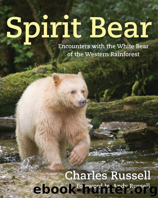 Spirit Bear by Charles Russell