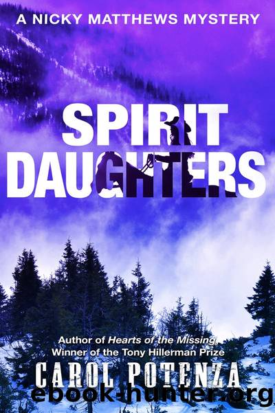 Spirit Daughters by Carol Potenza